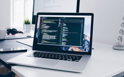 Software and Web Developer